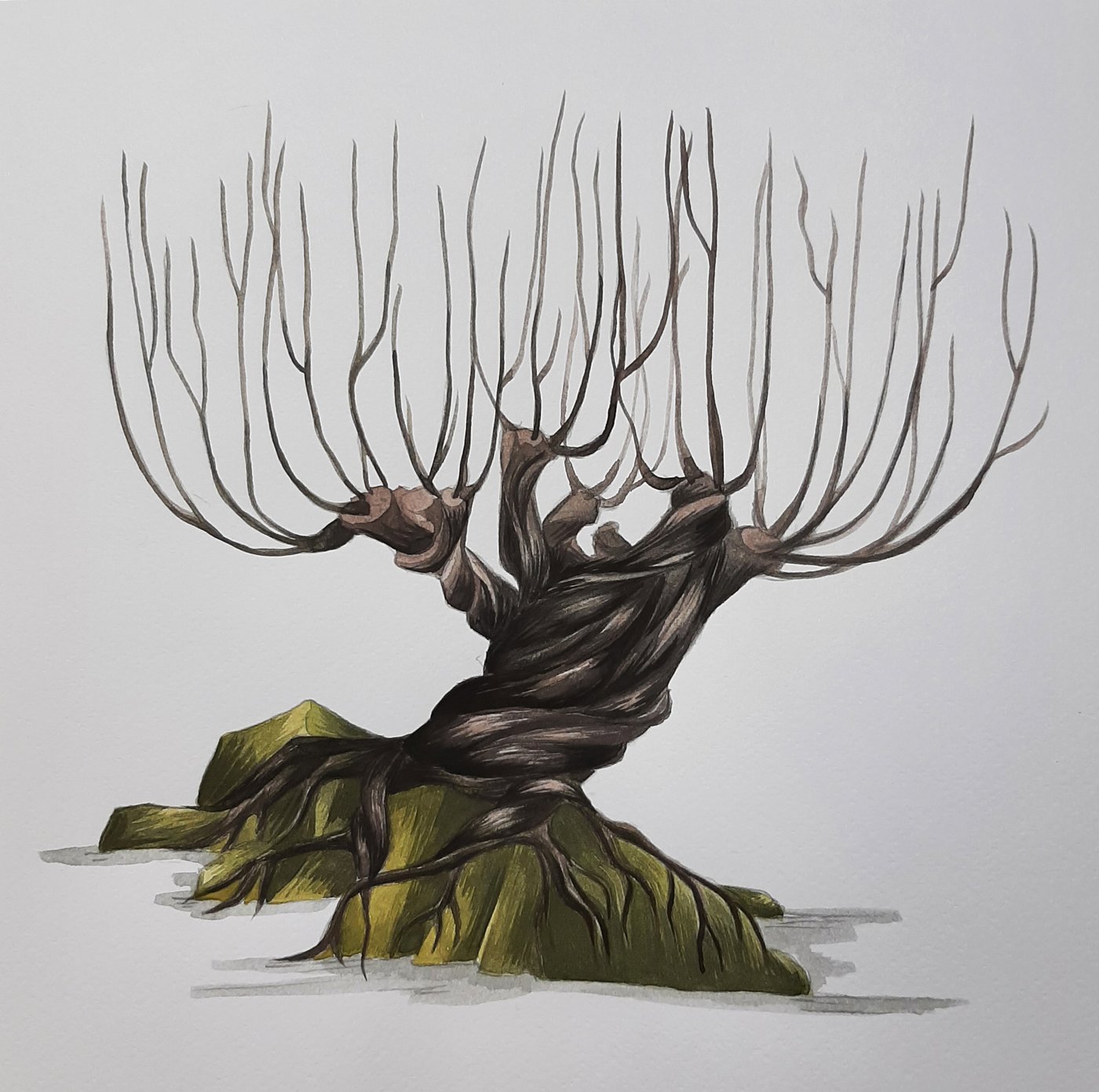 Работа от Natalya_coloring