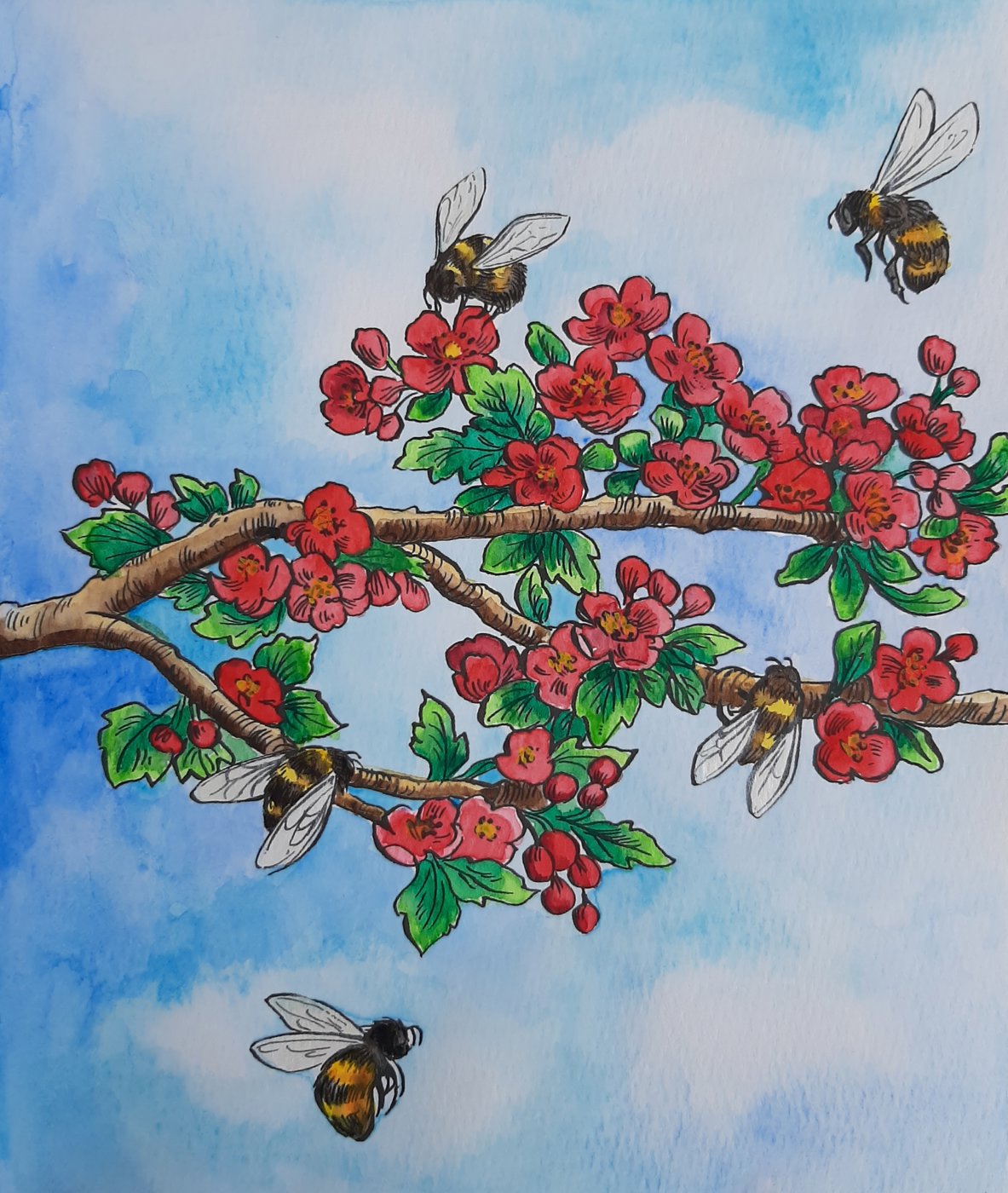 Работа от Natalya_coloring