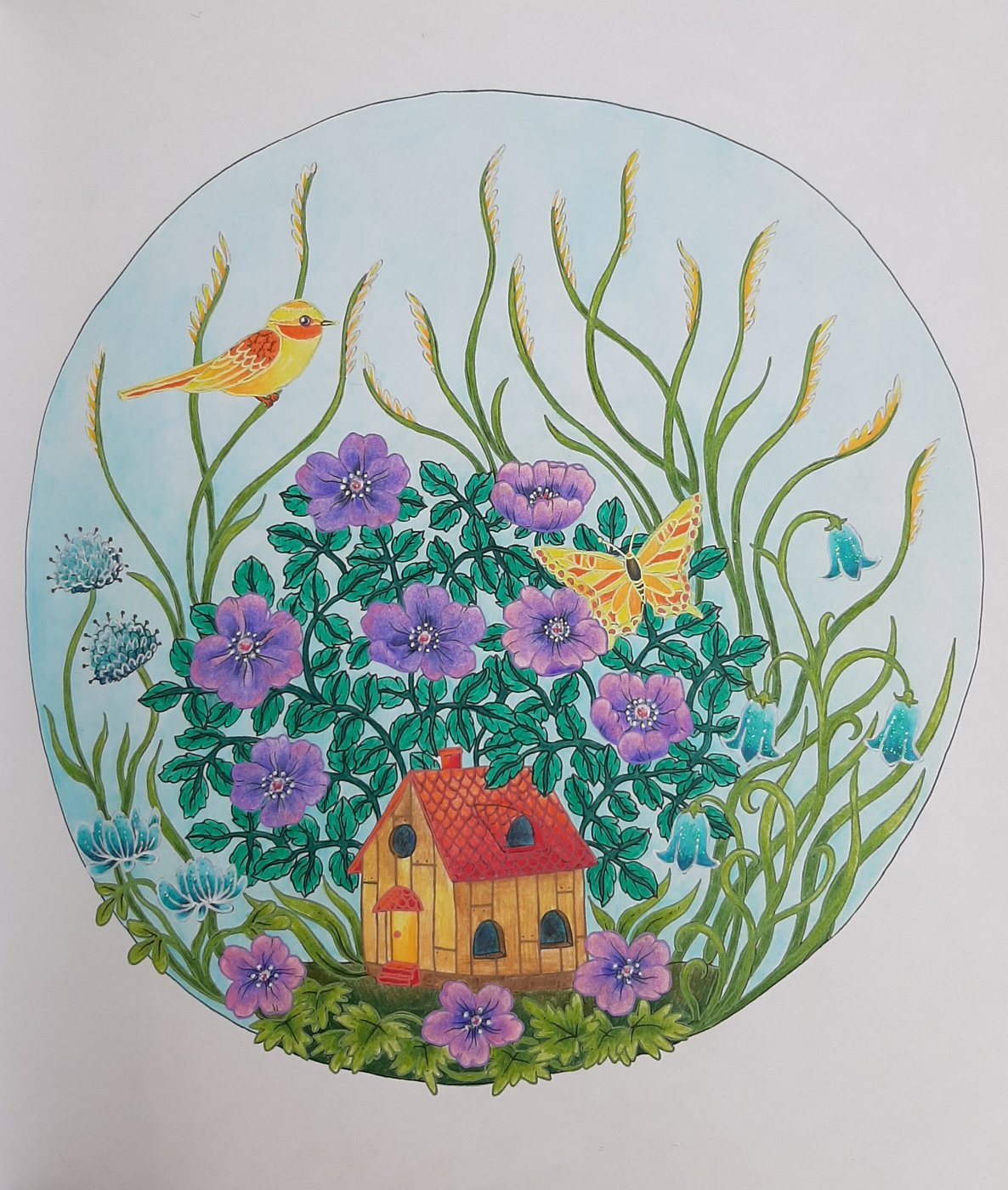 Работа от Natalya_coloring