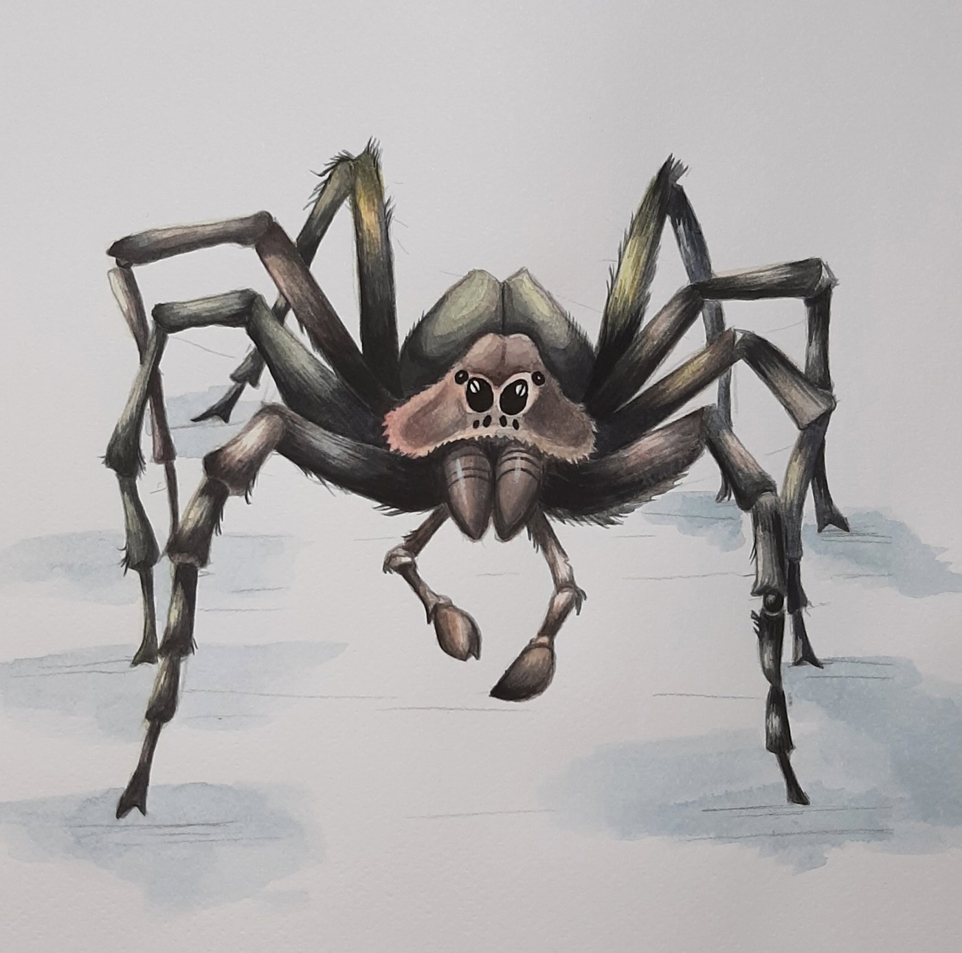 Работа от Natalya_coloring