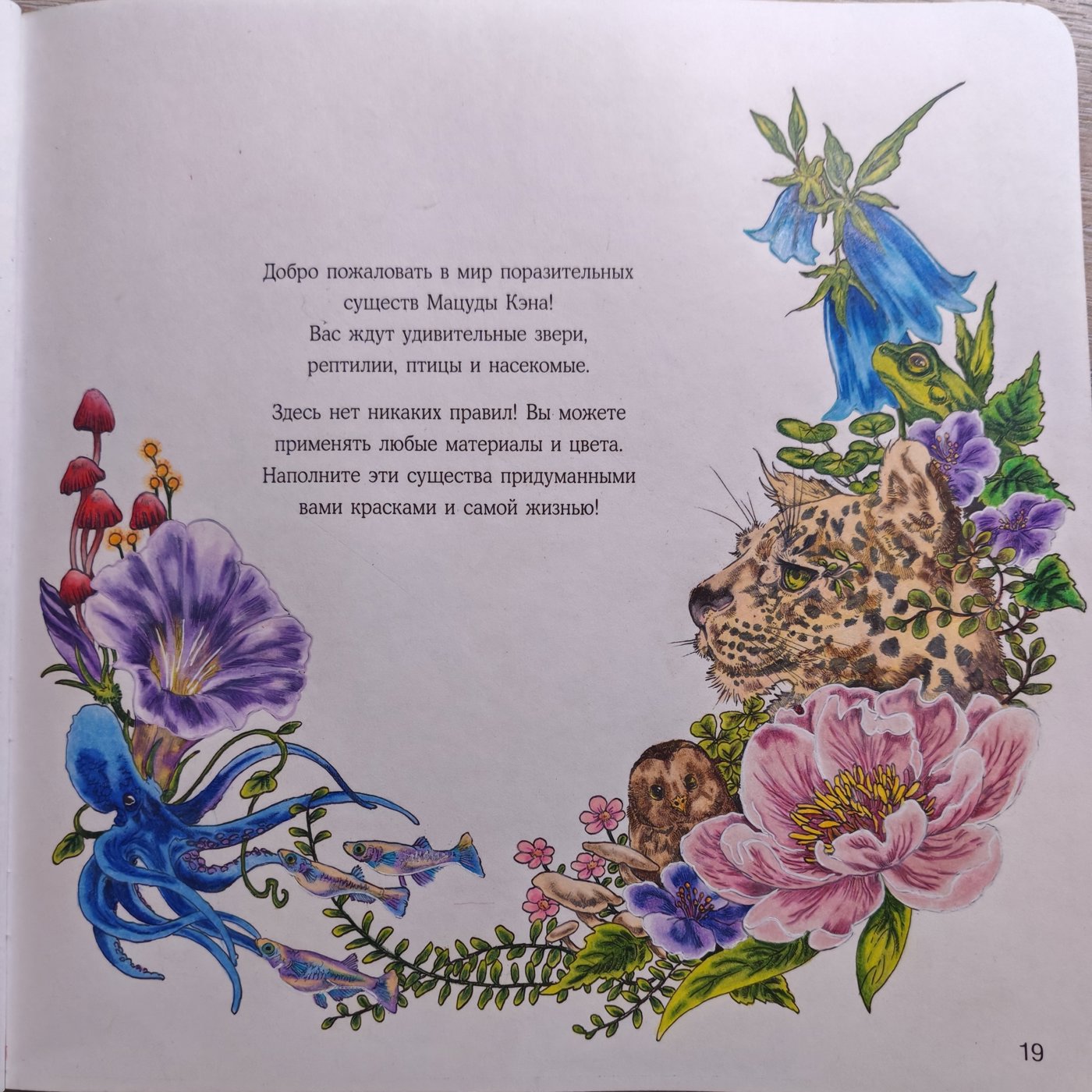 Работа от Nool