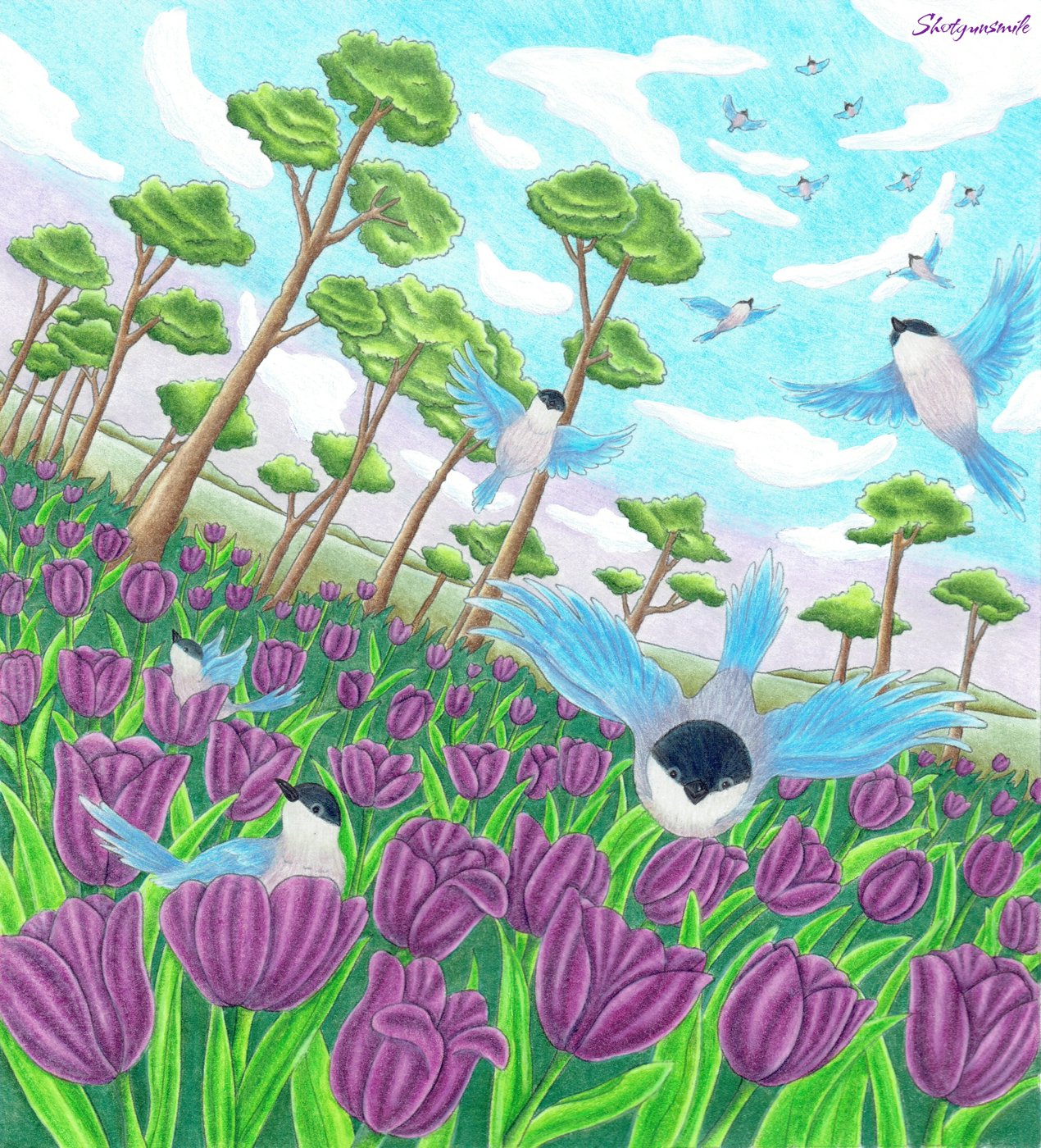 Тюльпаны от Shotgunsmile