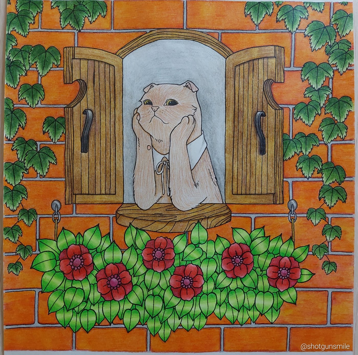 Кот от Shotgunsmile