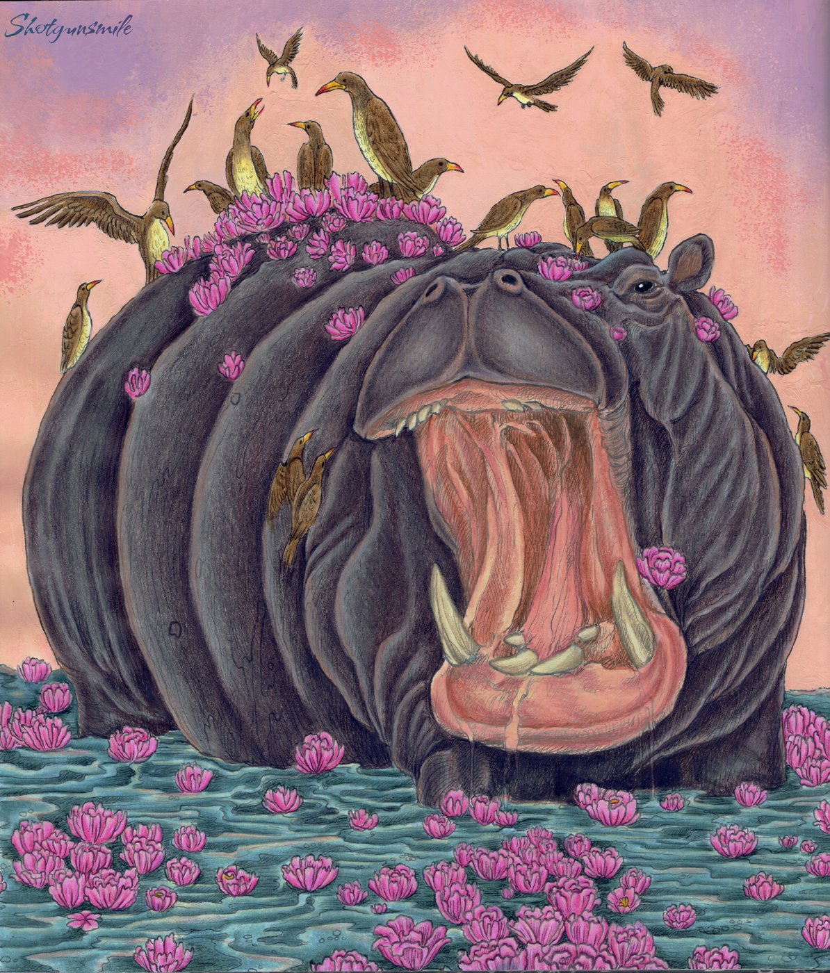 Гиппопотам от Shotgunsmile