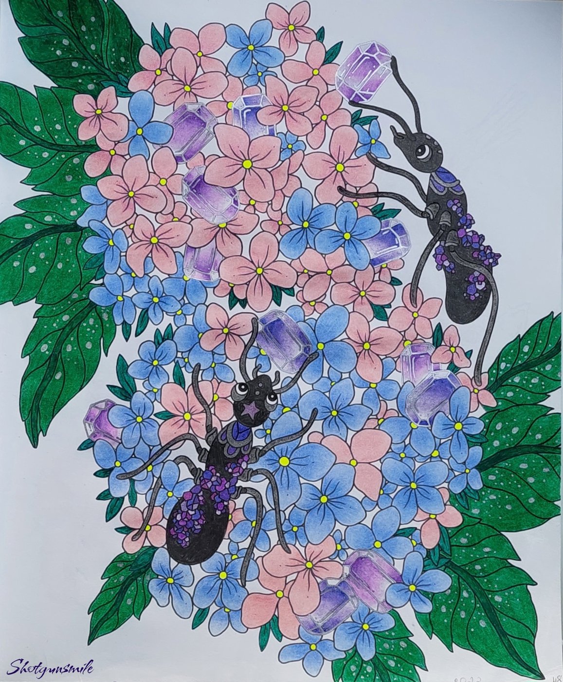 Муравьи от Shotgunsmile