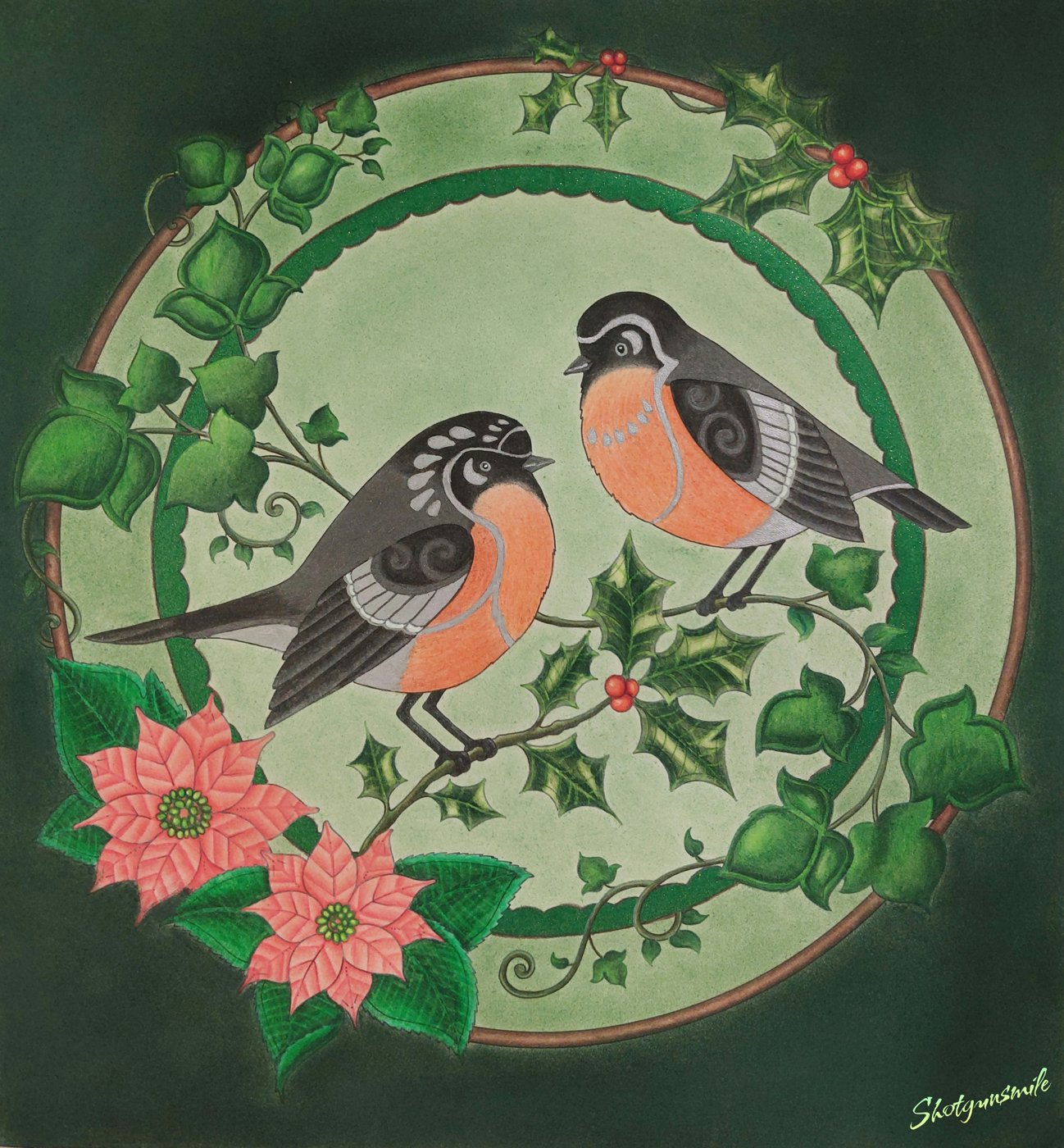 Снегири от Shotgunsmile