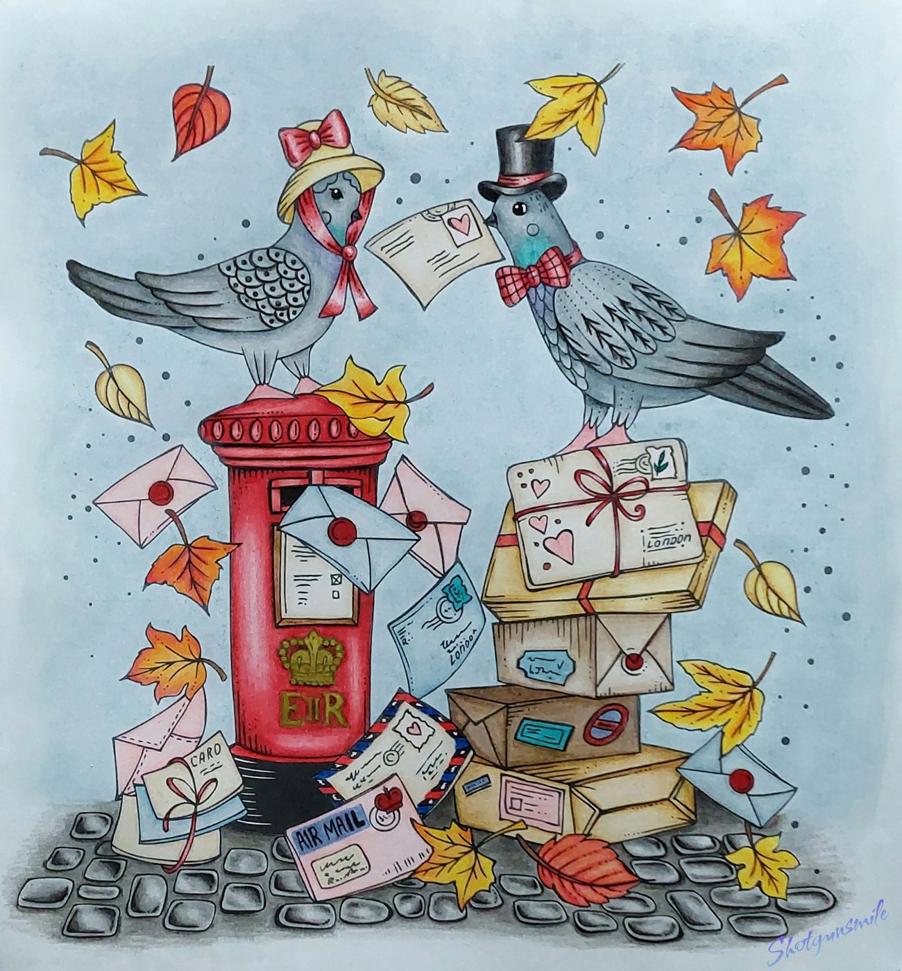 Голуби от Shotgunsmile