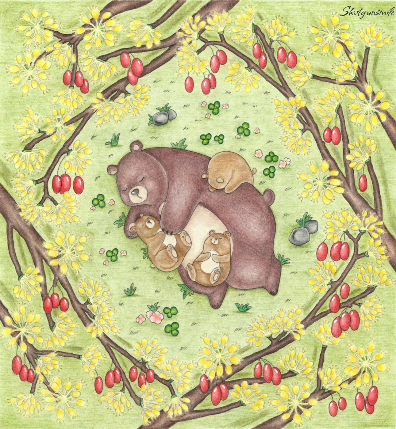 Мишки от Shotgunsmile