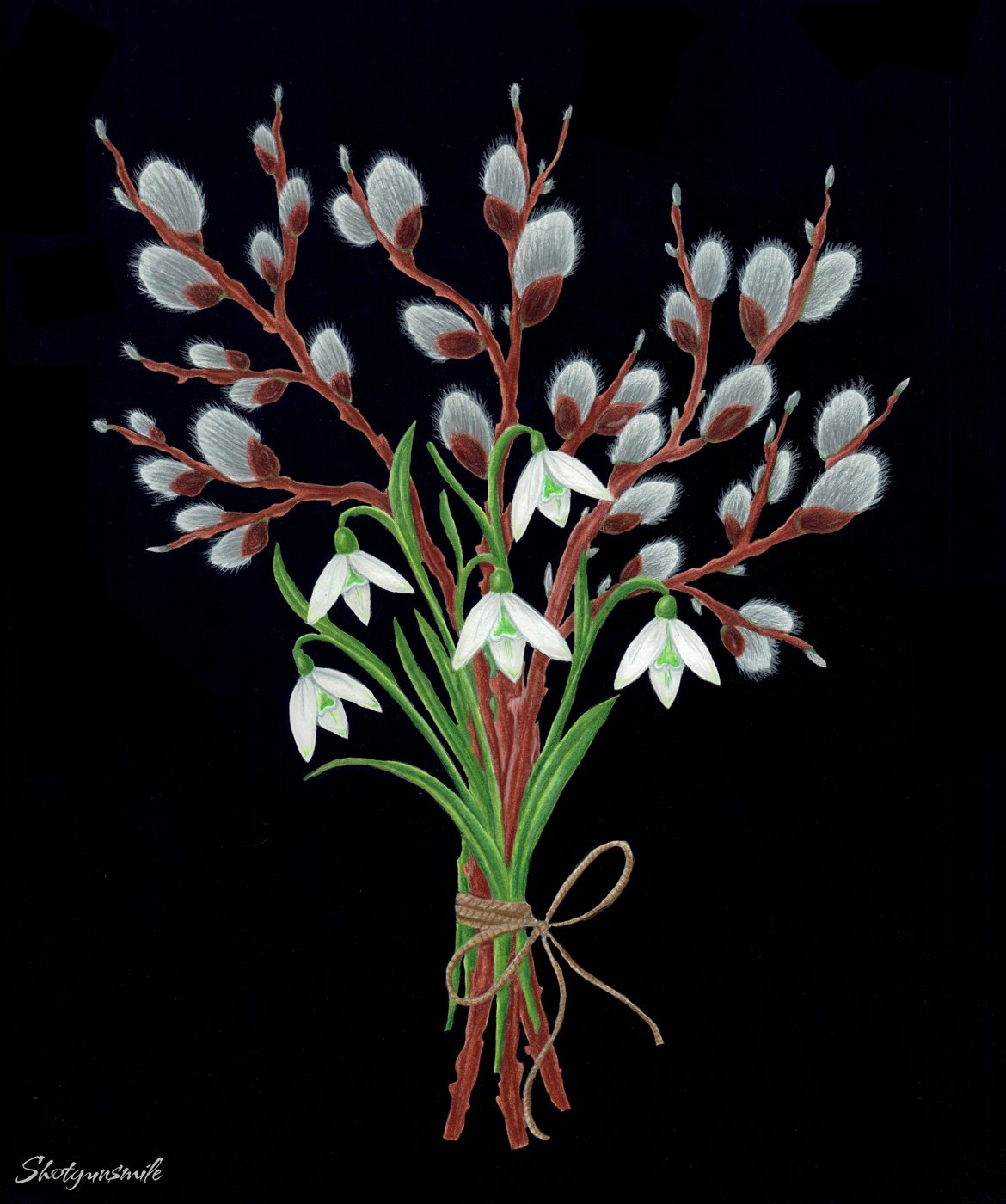 Верба от Shotgunsmile