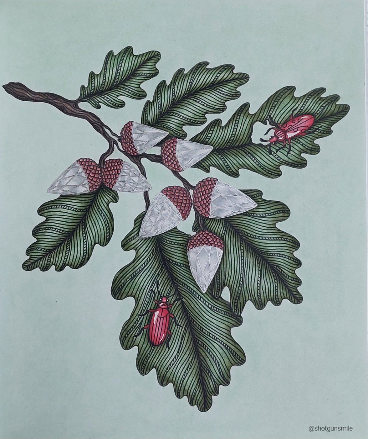 Желуди от Shotgunsmile