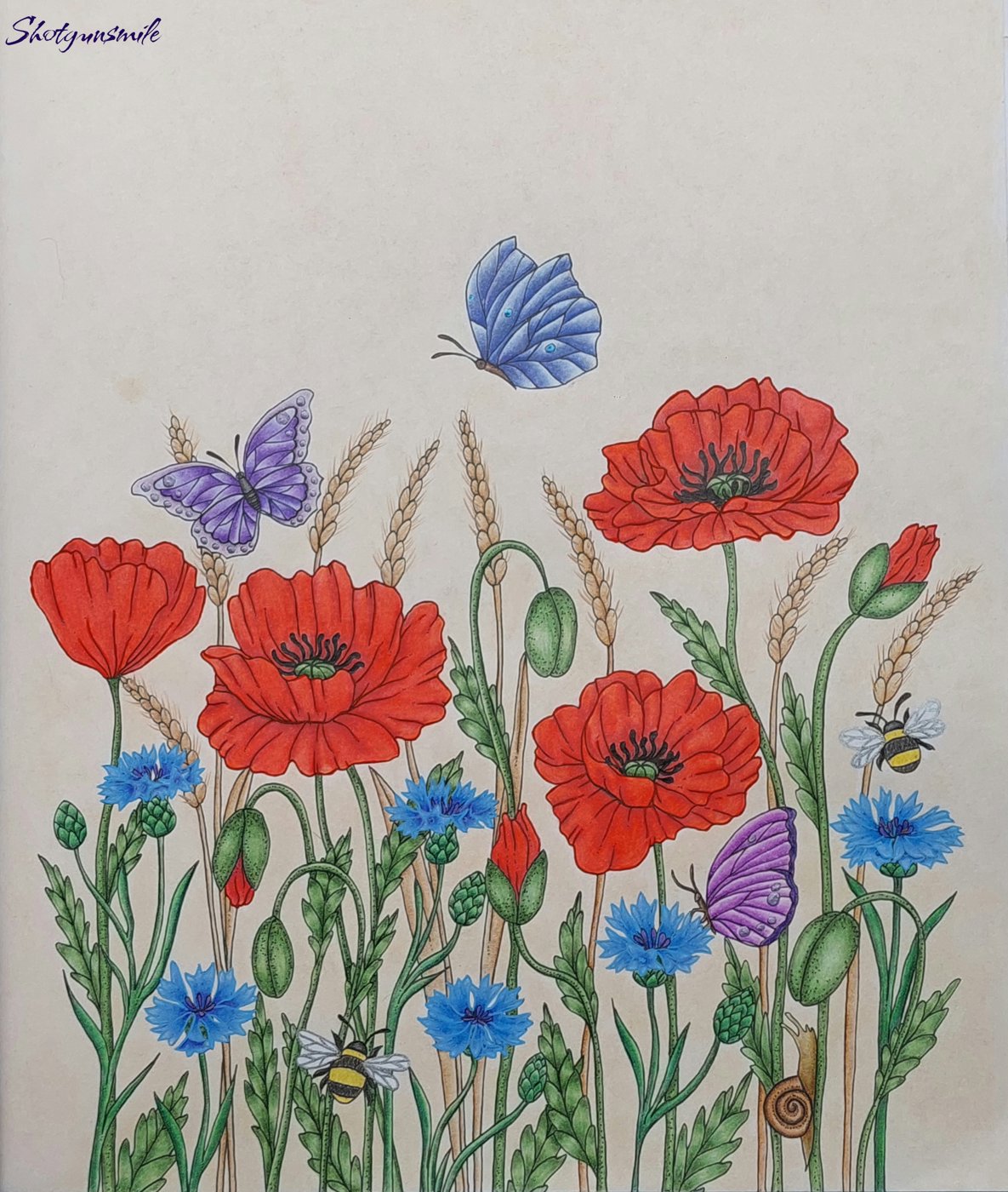 Маки от Shotgunsmile