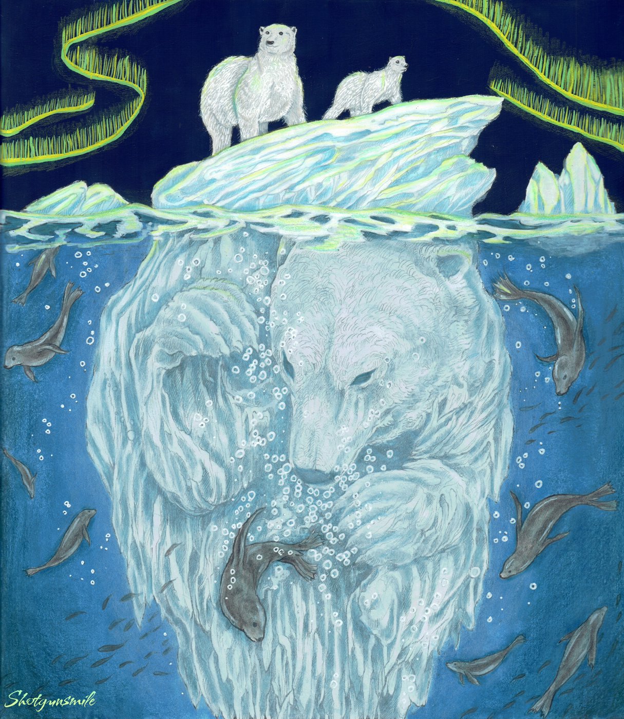 Северное сияние от Shotgunsmile