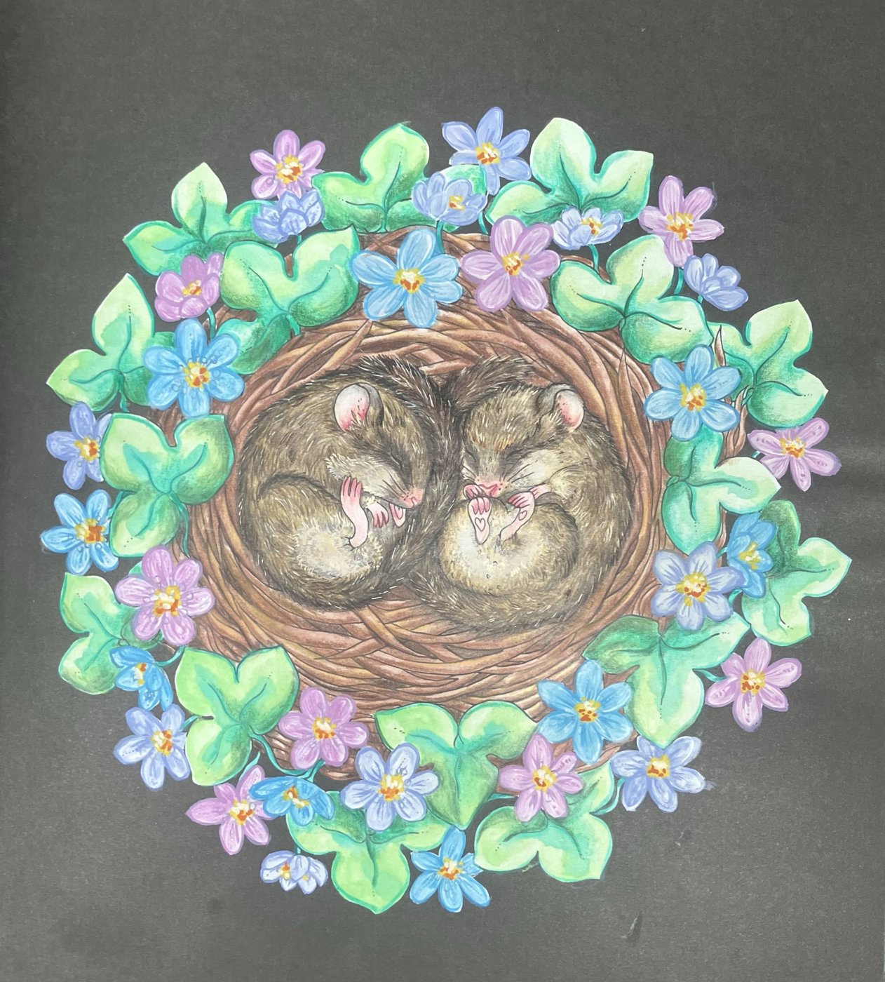 Сони от Nalkariya