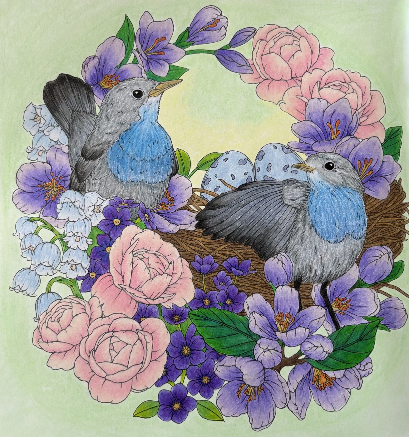 Работа от Yulia_coloring