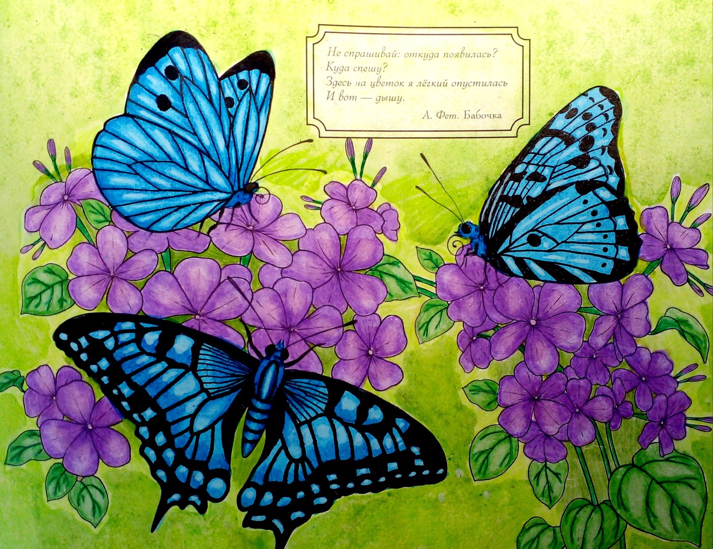 Работа от Ausmalecke