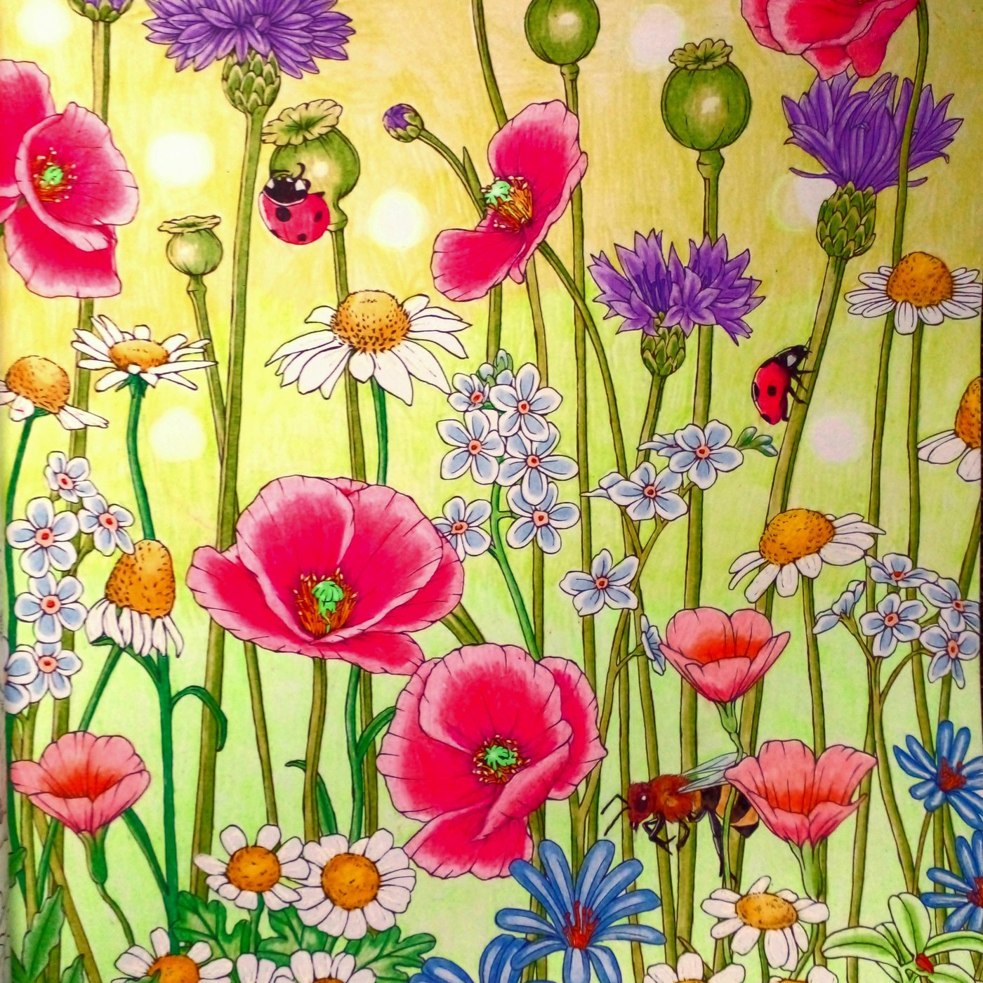 Работа от Ausmalecke