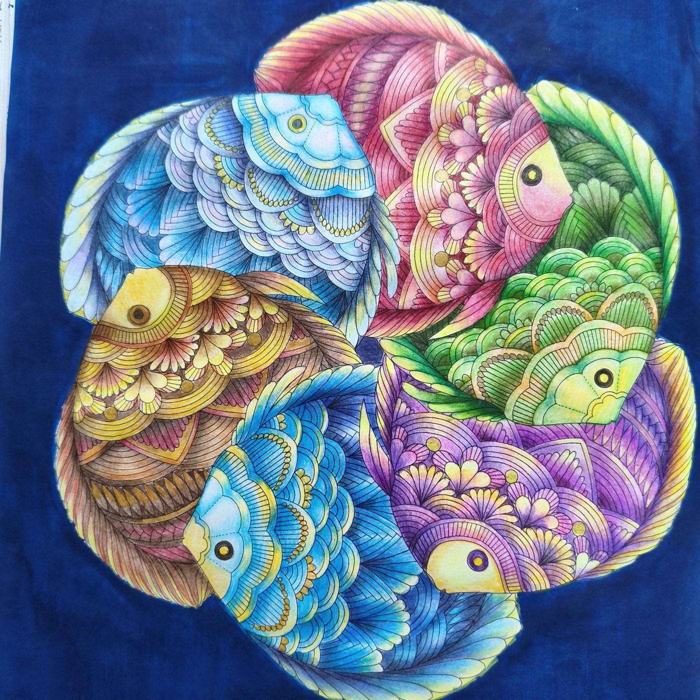 Рыбки от Татьяна