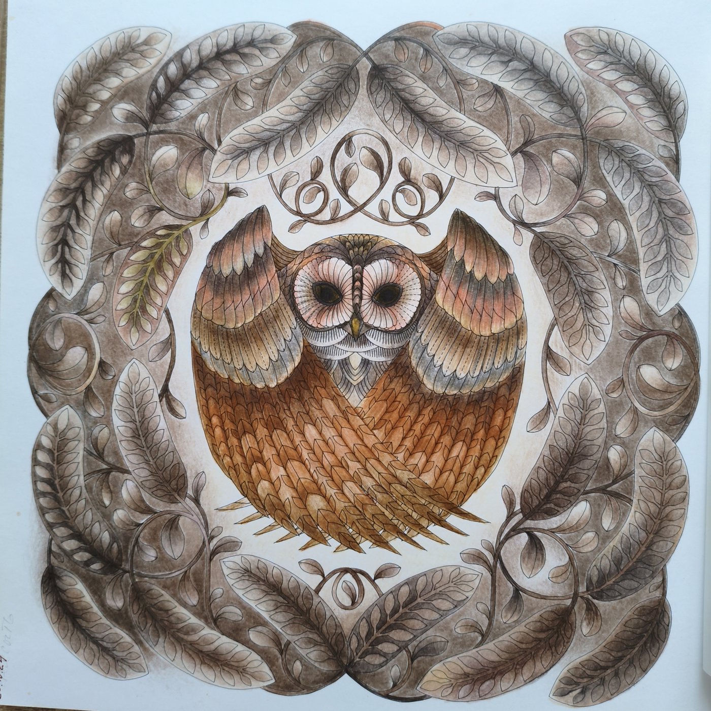 Сыч от Татьяна