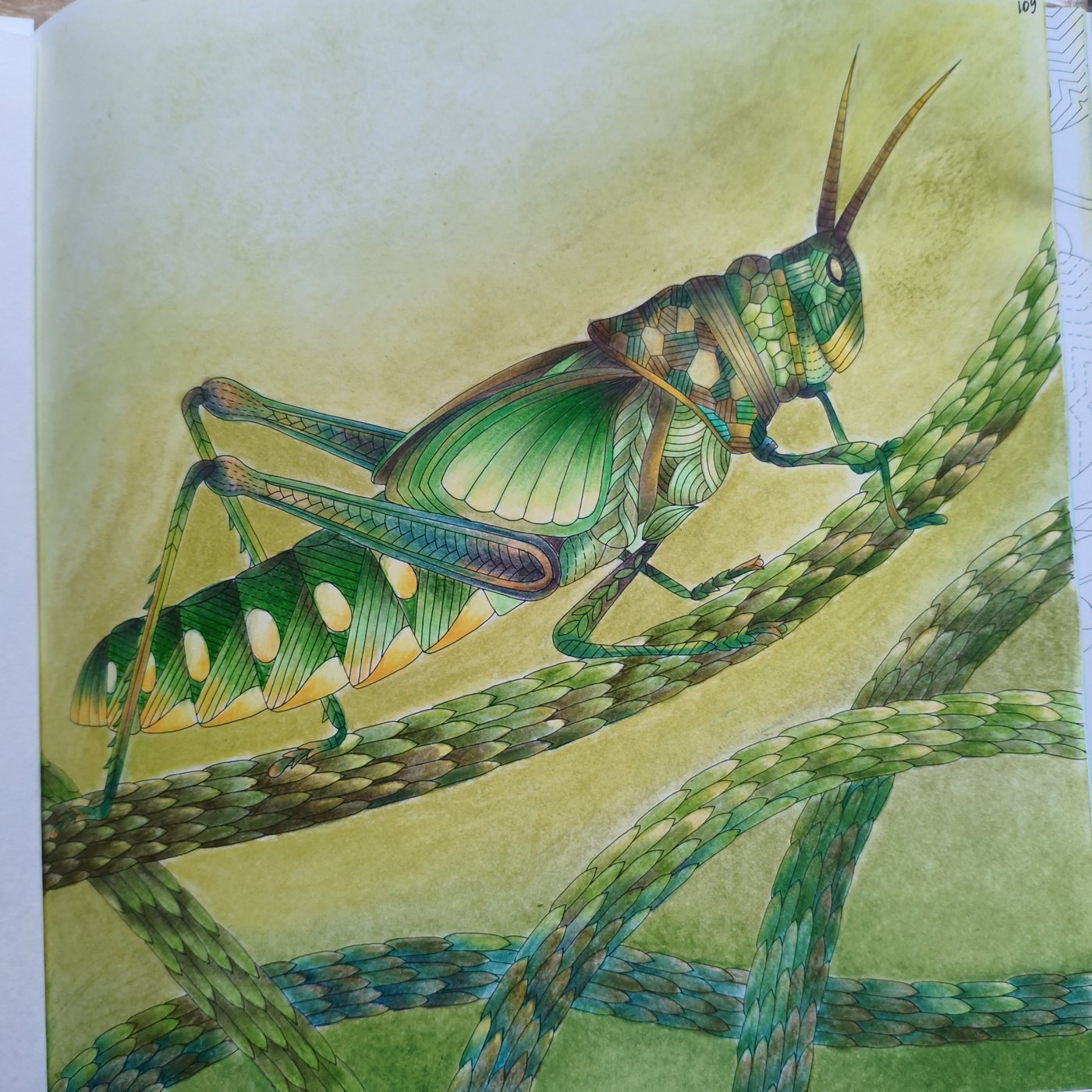 Кузнечик от Татьяна