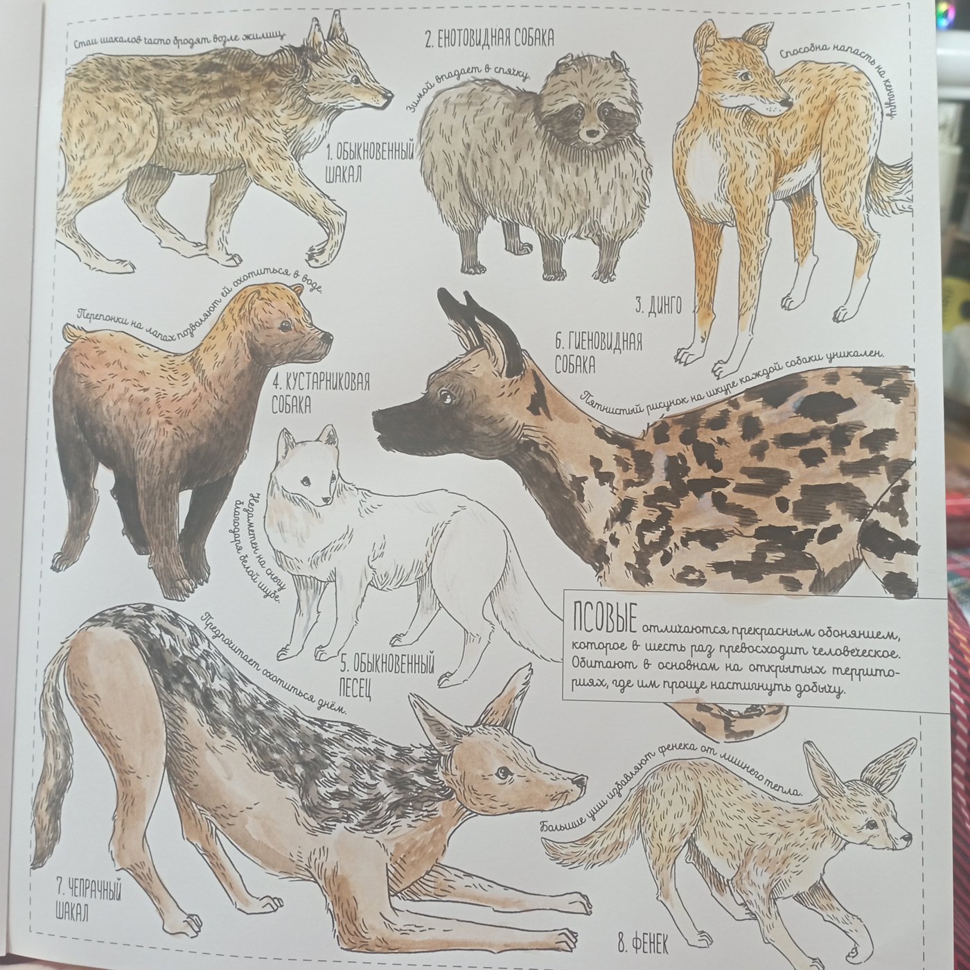 Работа от Nava