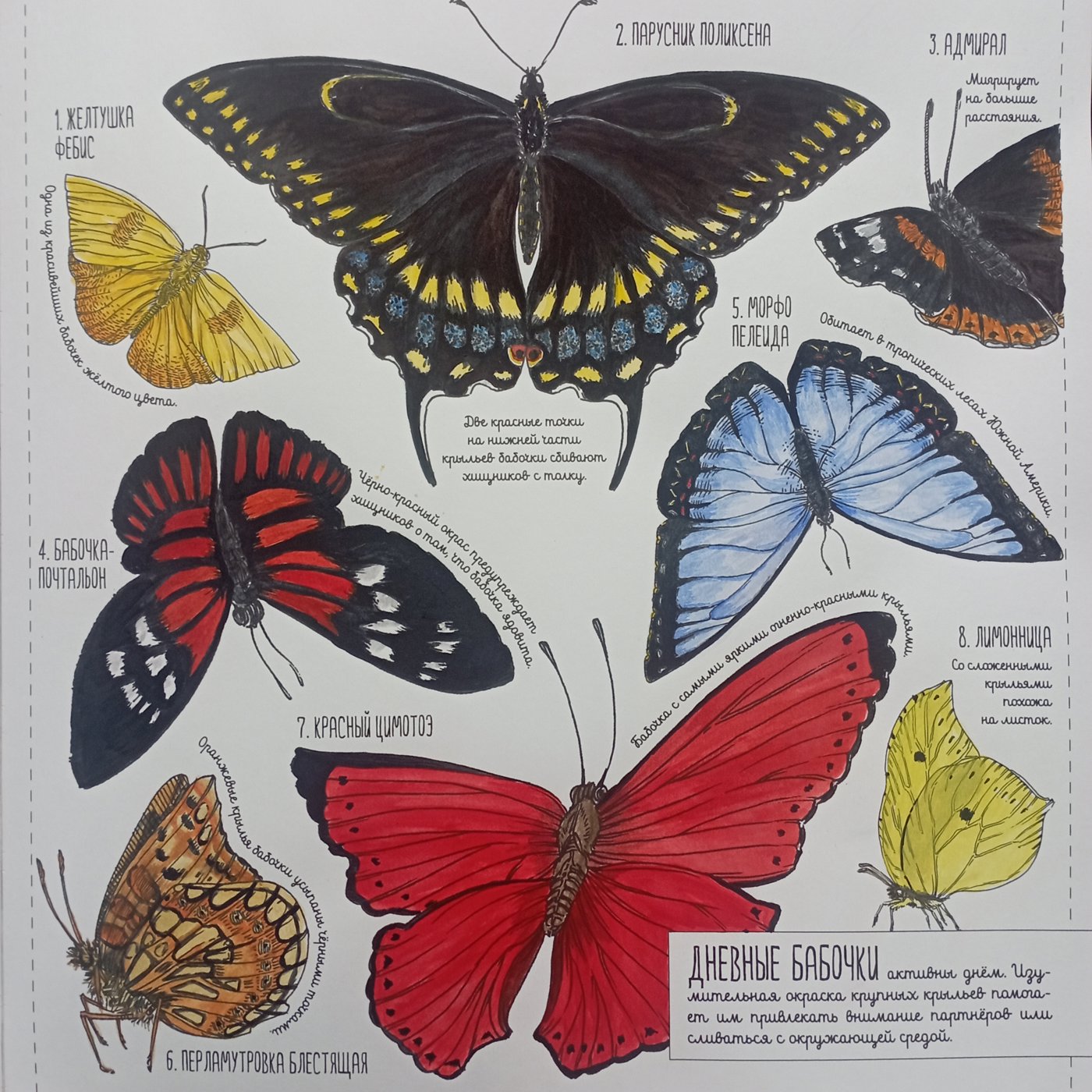 Работа от Nava