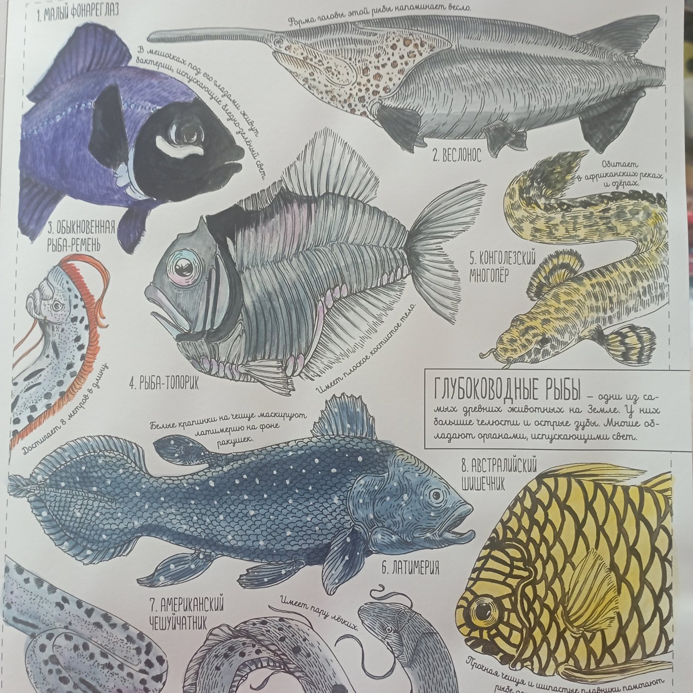 Работа от Nava