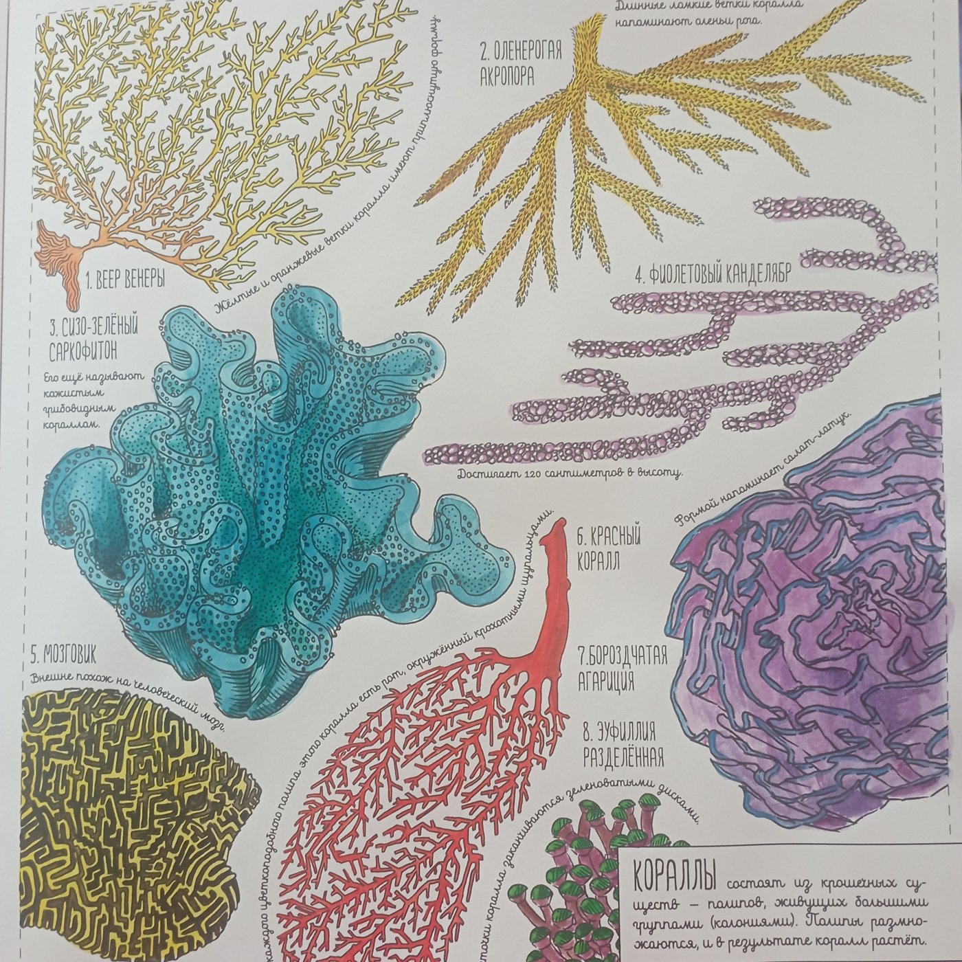 Работа от Nava