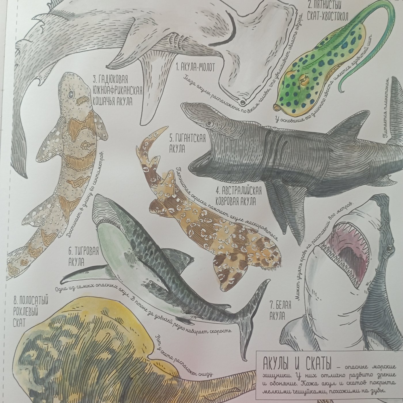 Работа от Nava