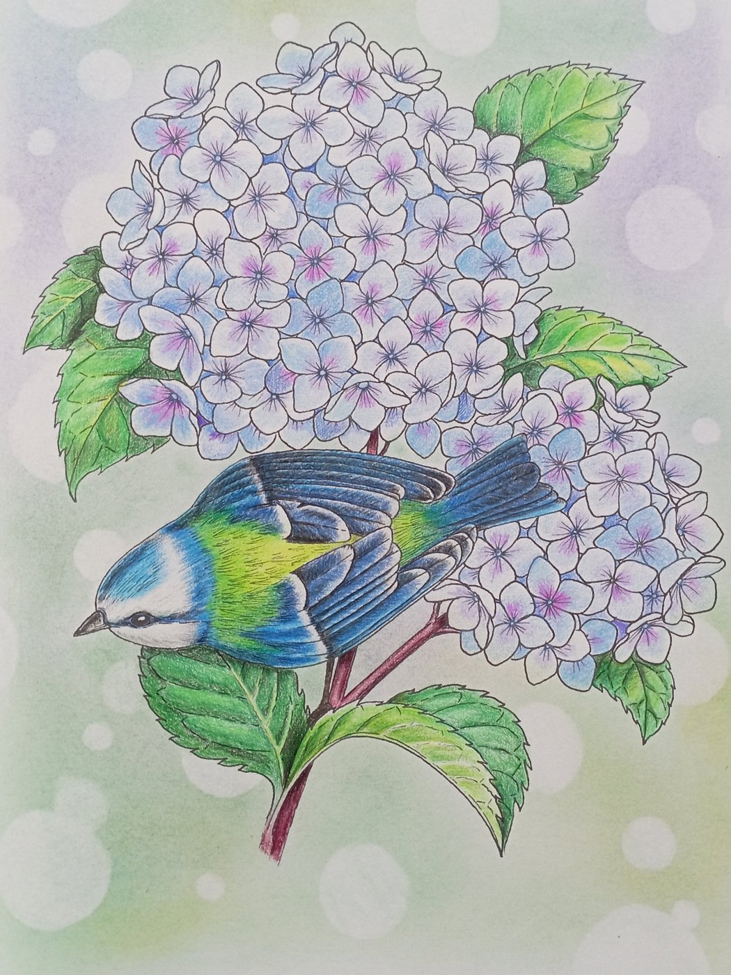 Работа от Nava