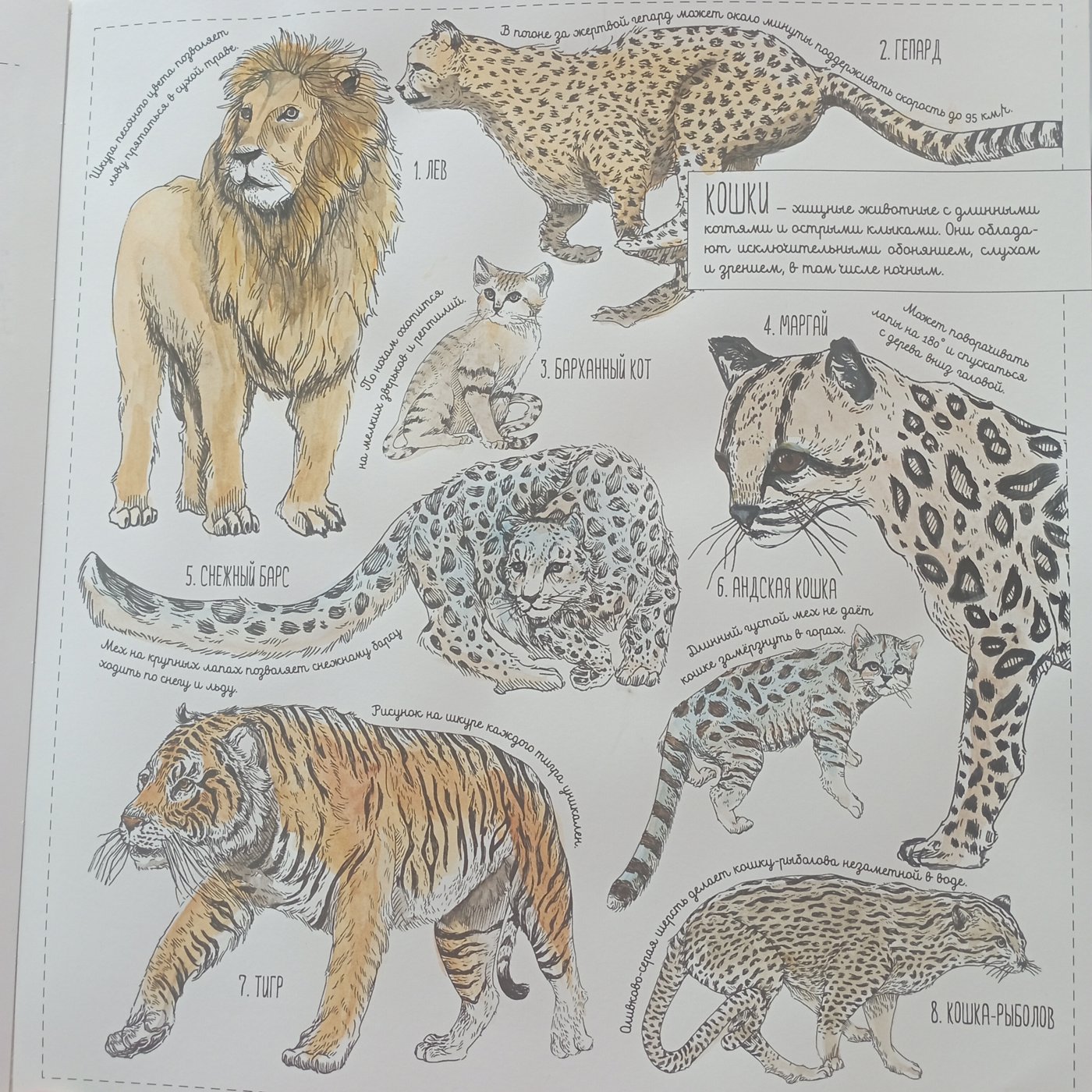 Работа от Nava