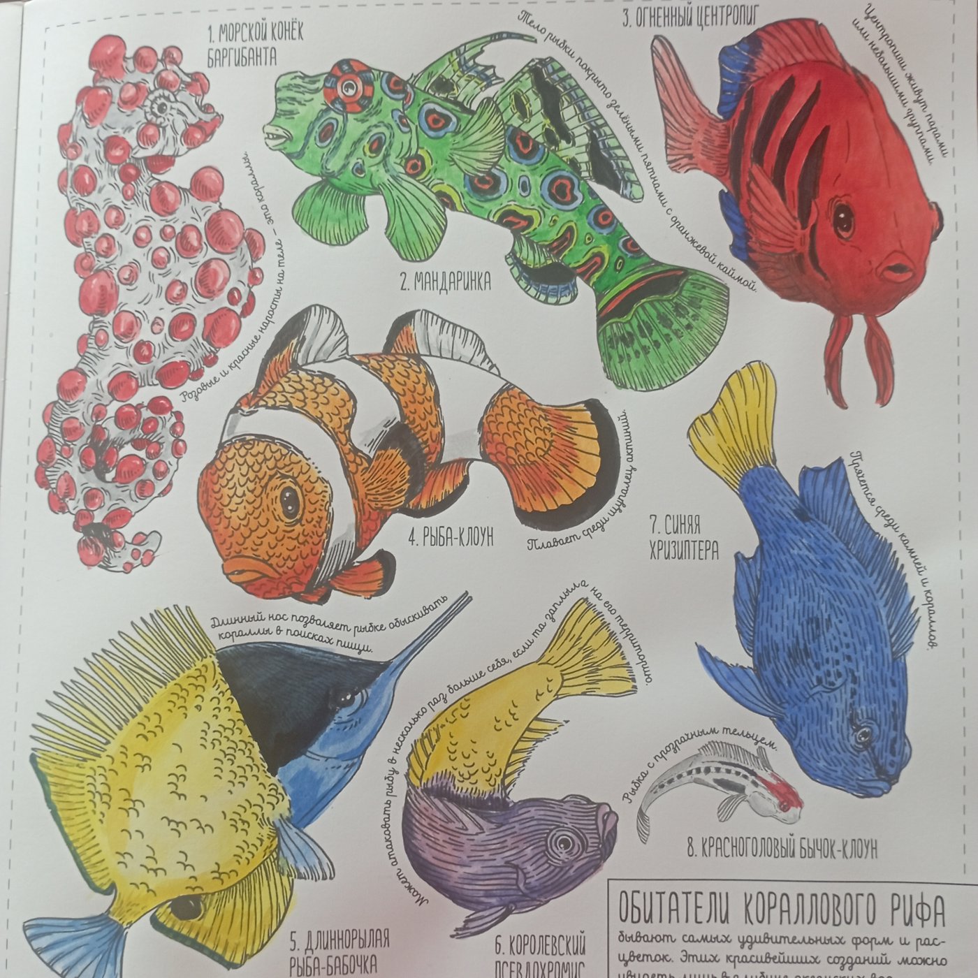 Работа от Nava