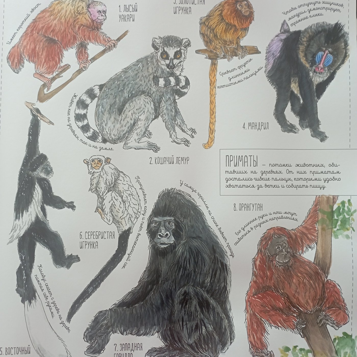 Работа от Nava