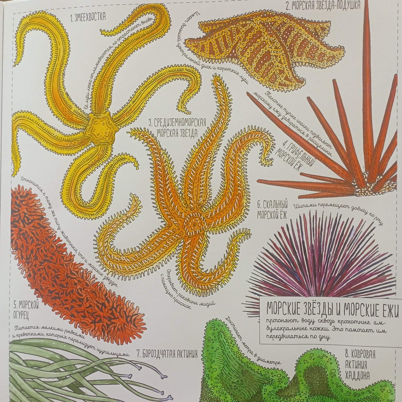 Работа от Nava