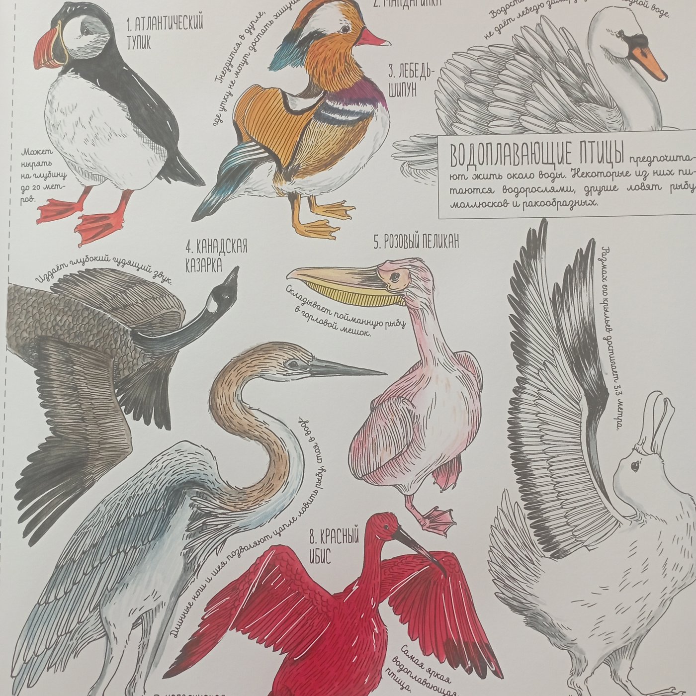 Работа от Nava