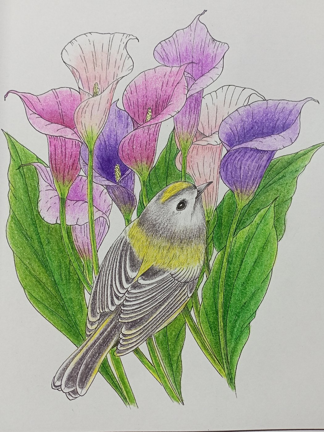 Работа от Nava