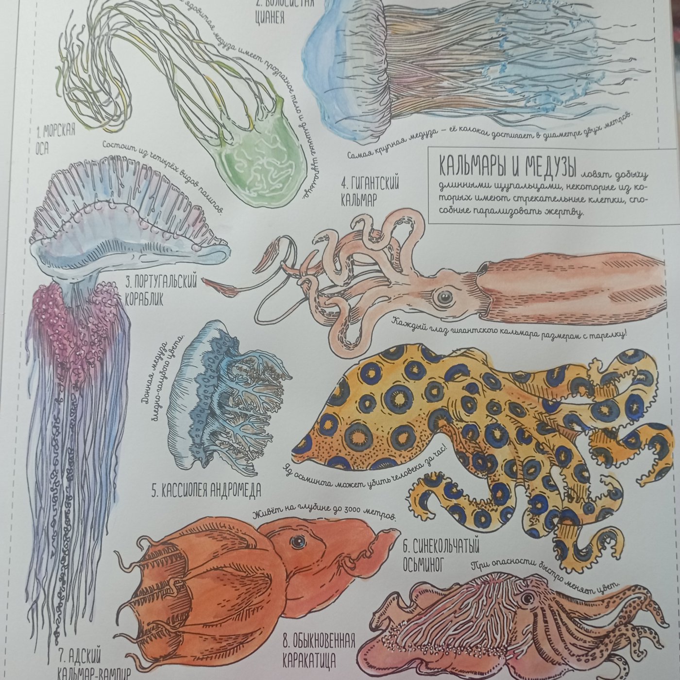 Работа от Nava