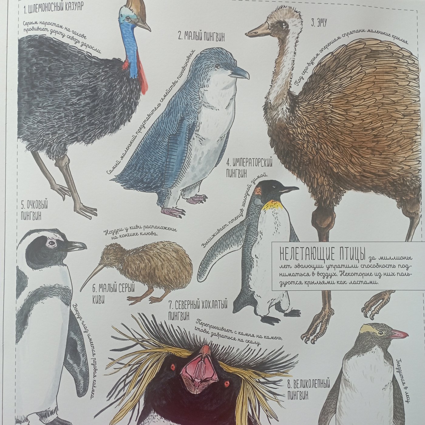 Работа от Nava