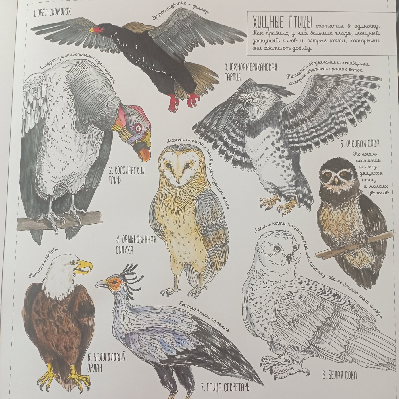 Работа от Nava