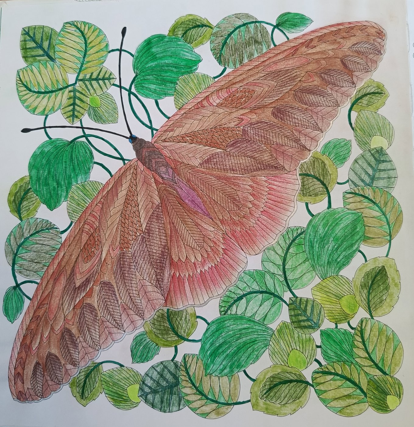 Работа от Anastasia