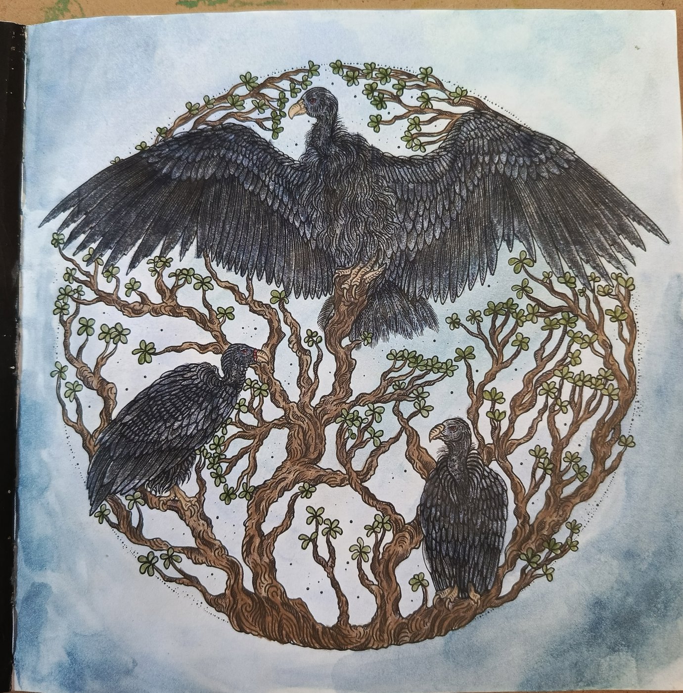 Работа от Anastasia