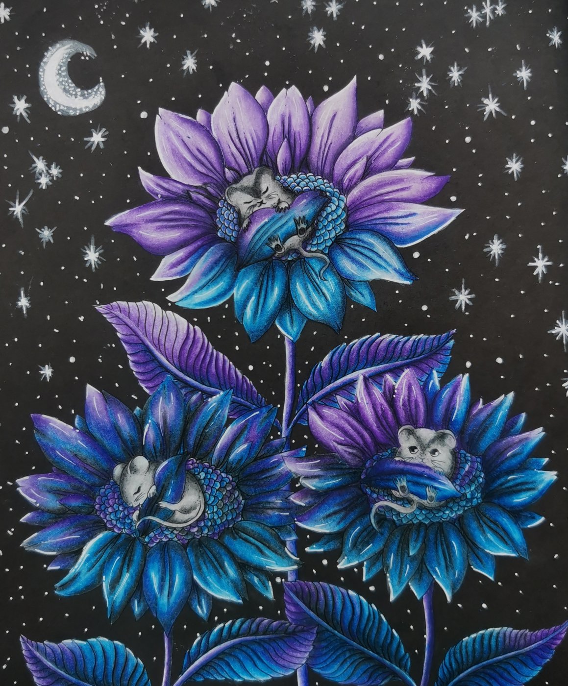 Работа от Dariacoloring