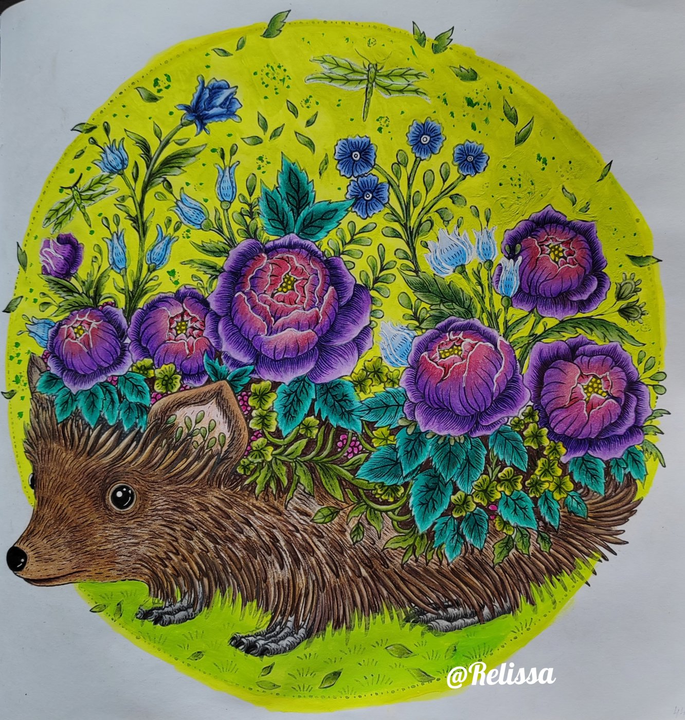 Работа от Dariacoloring