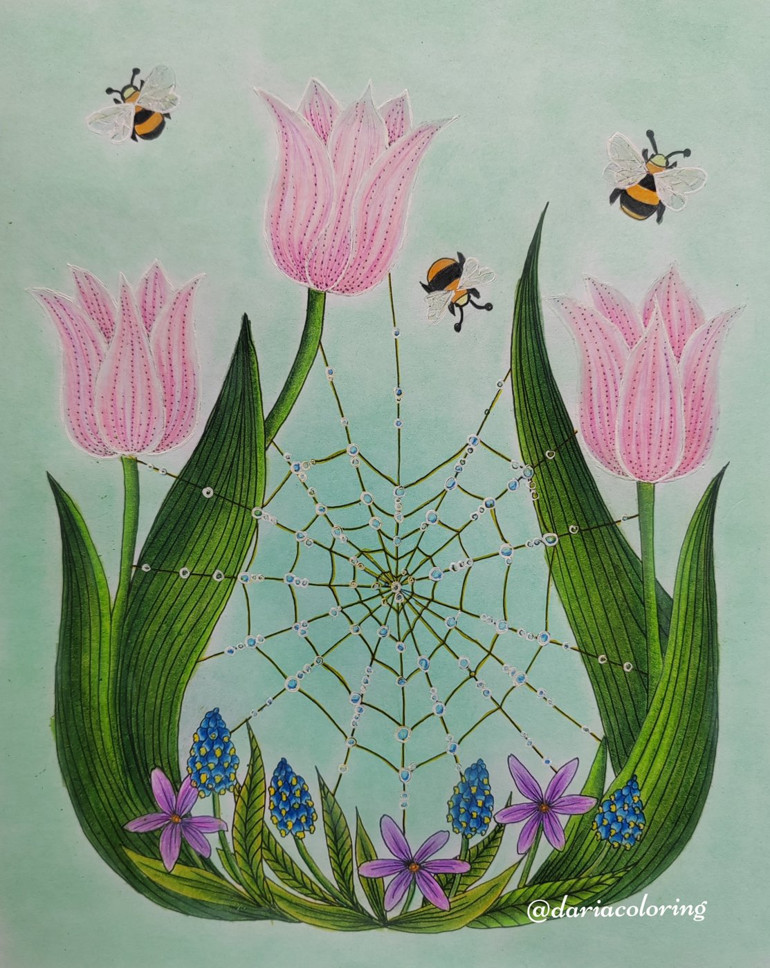 Работа от Dariacoloring