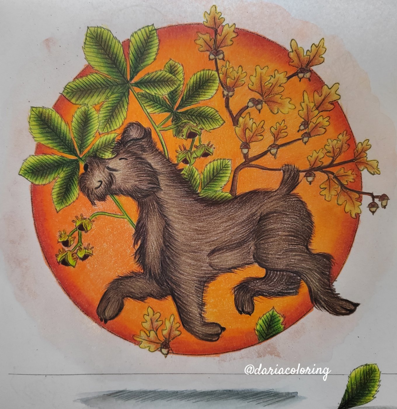 Работа от Dariacoloring