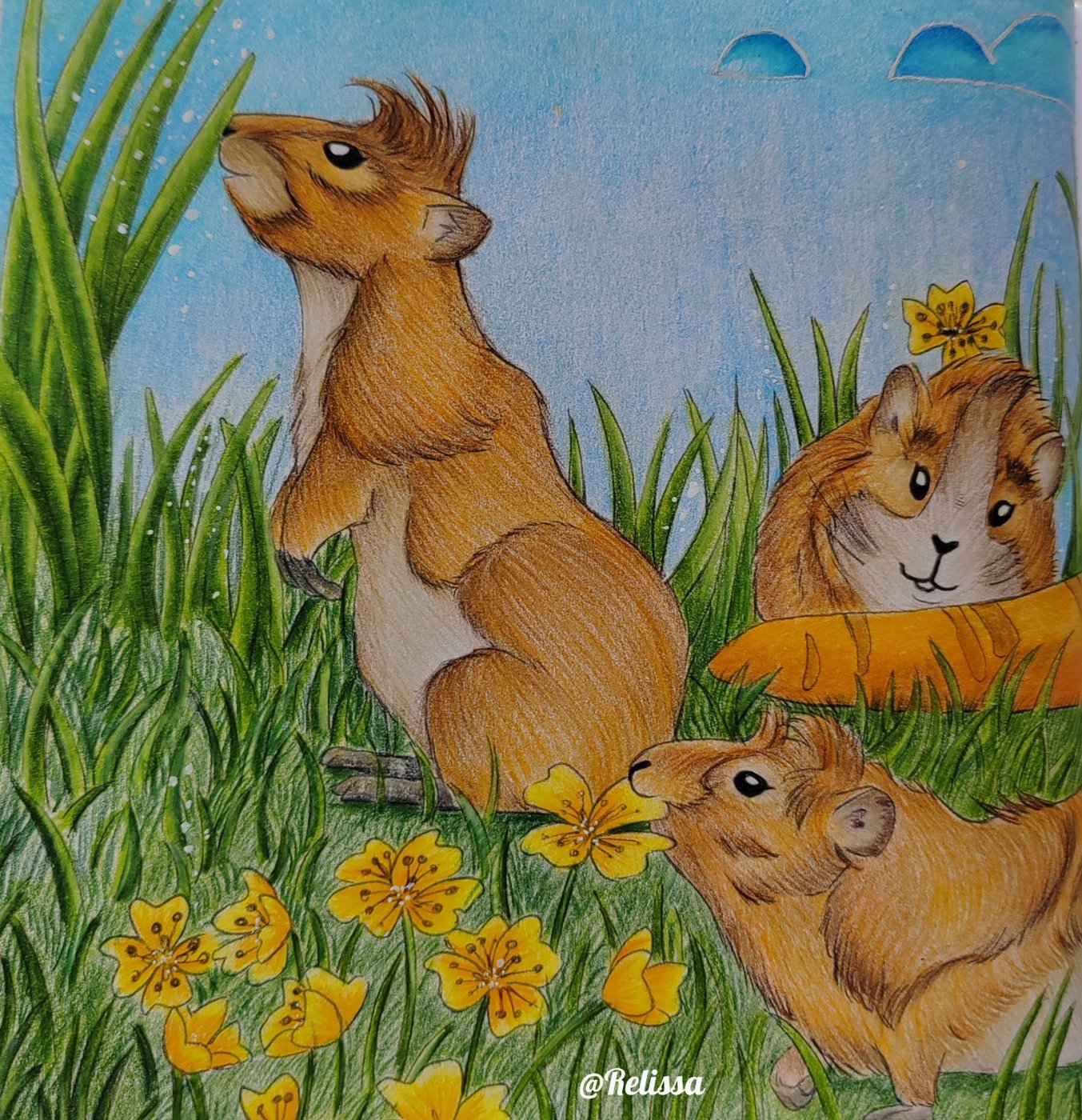 Работа от Dariacoloring