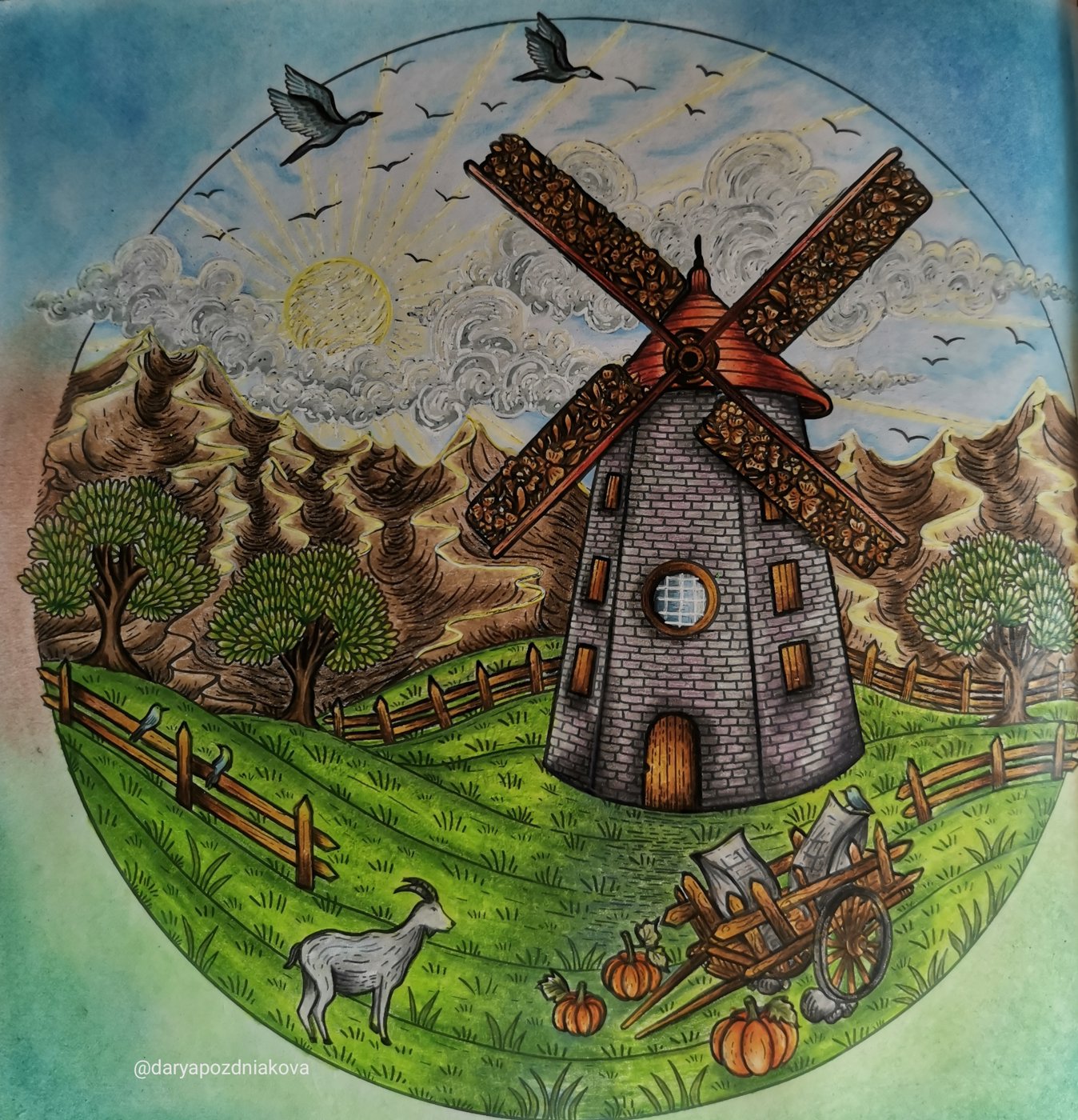 Работа от Dariacoloring