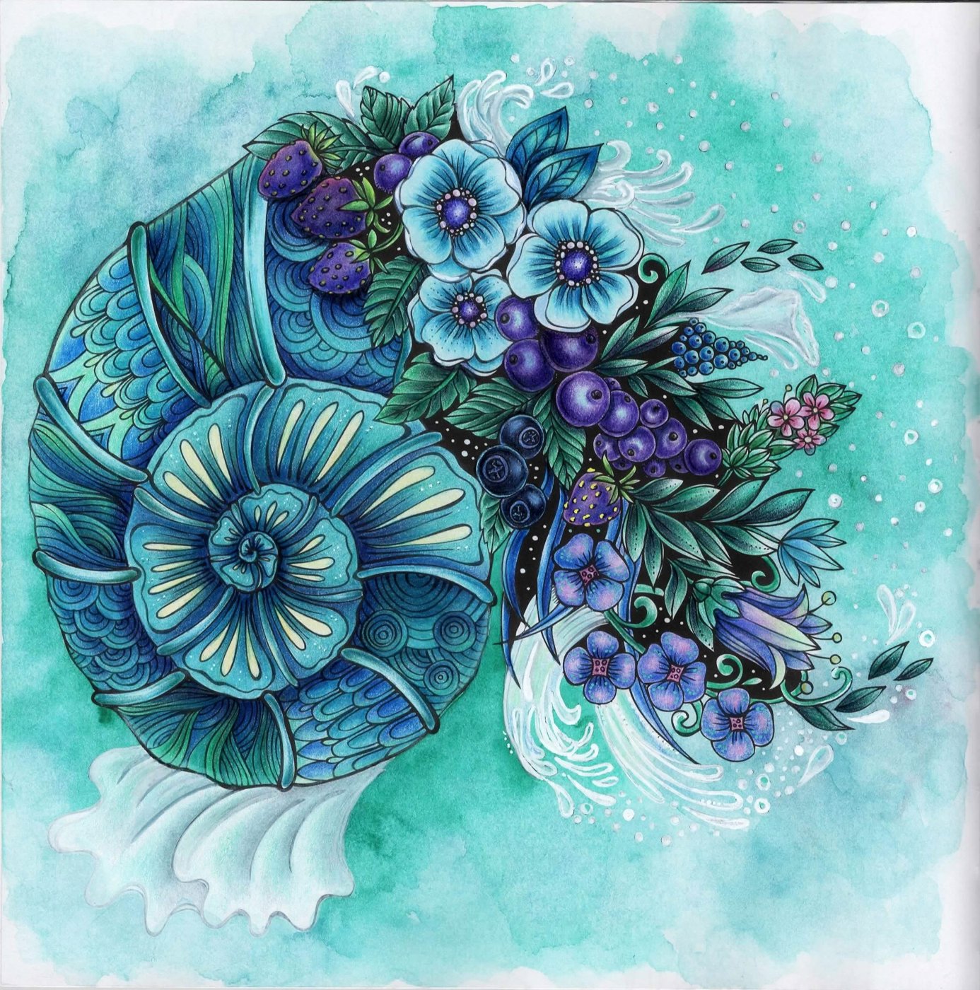 Работа от lika.coloring