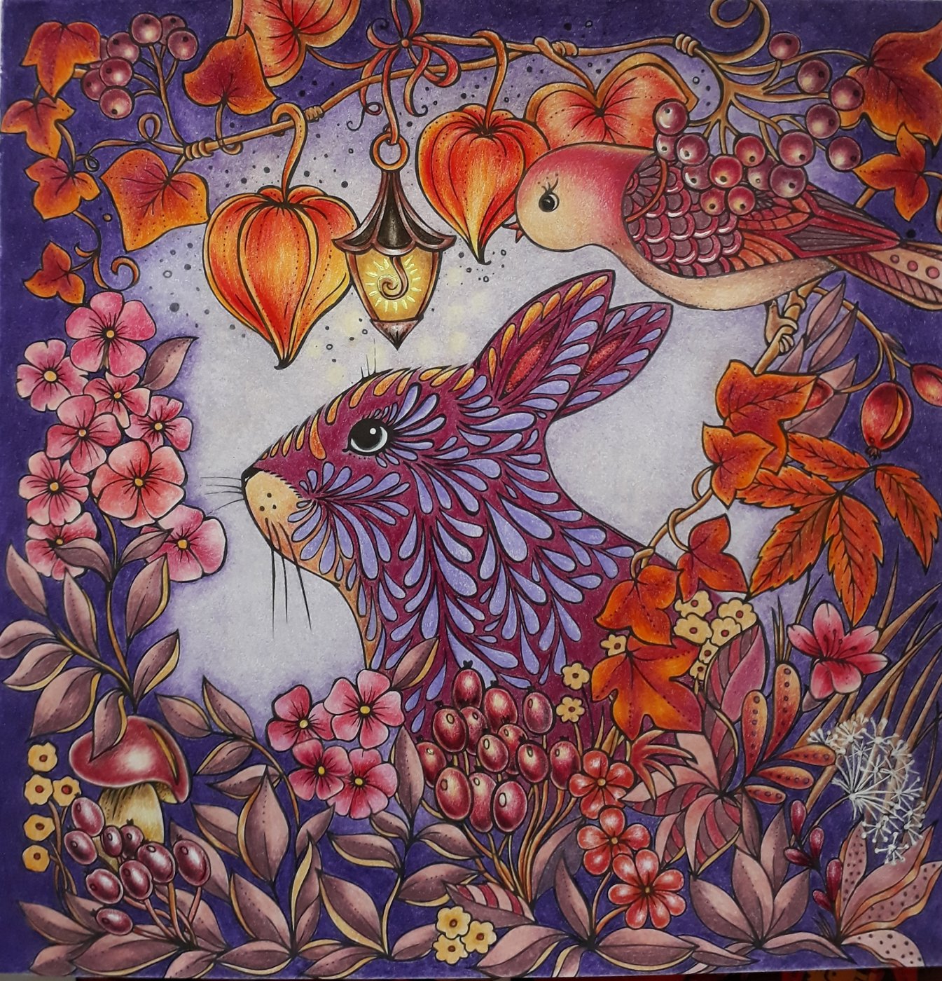 Работа от lika.coloring