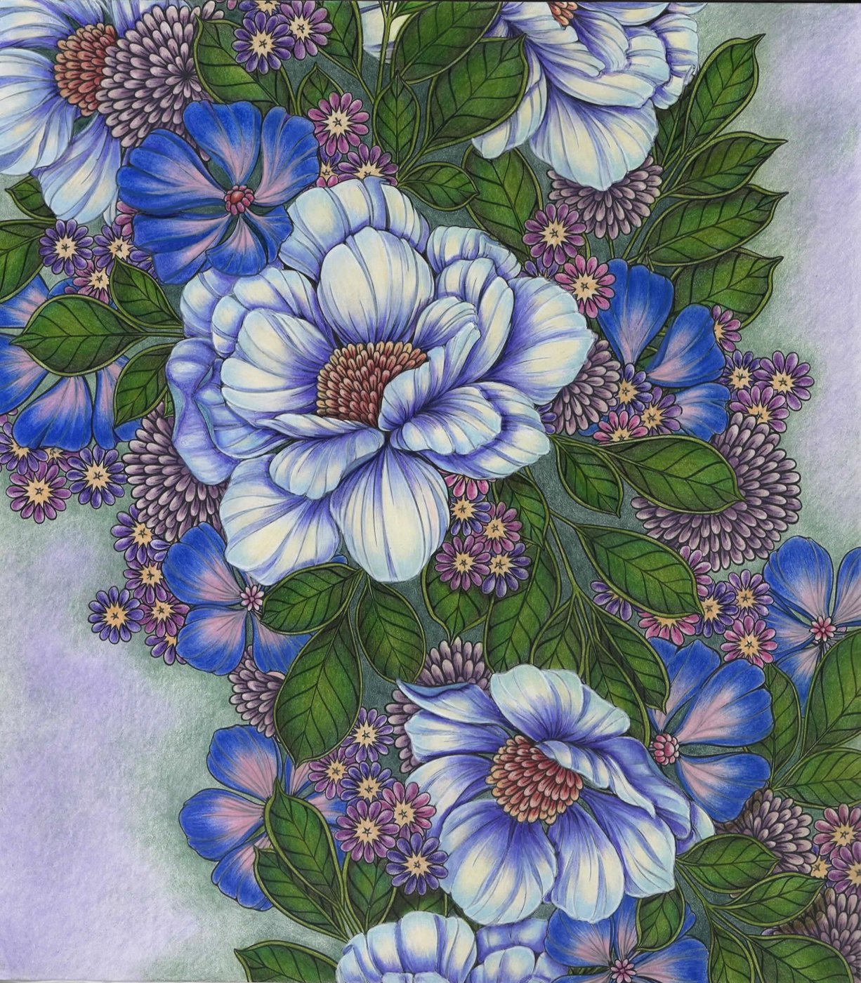 Работа от lika.coloring