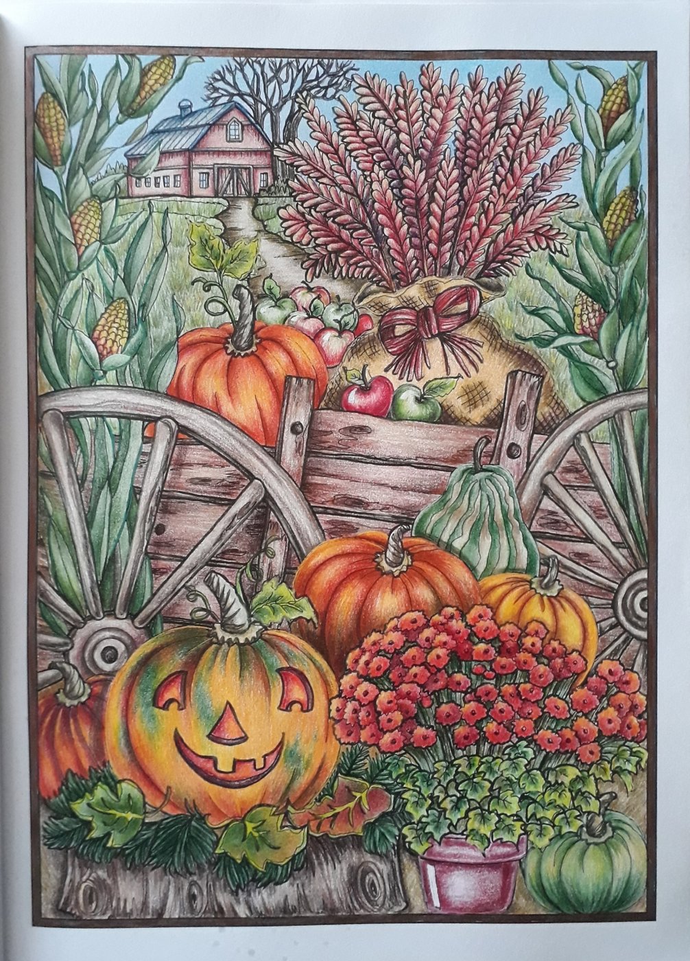 Работа от lika.coloring